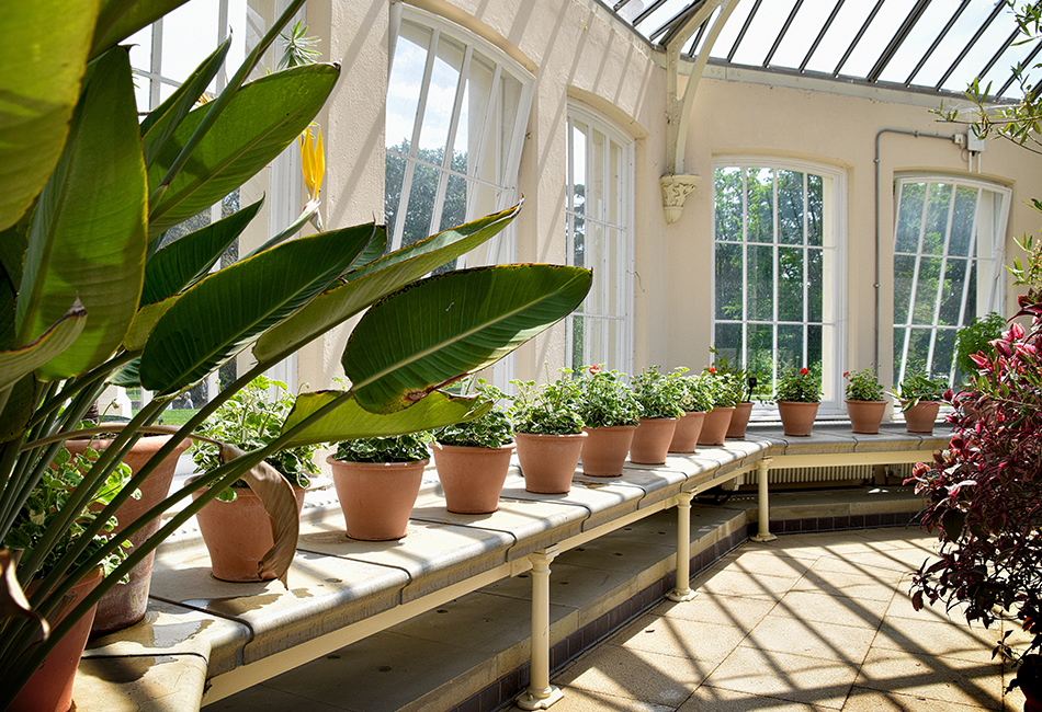 orangery